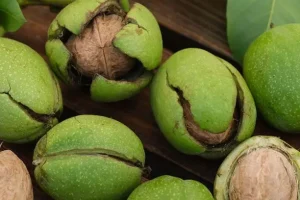 دیگه هیچوقت پوست گردو رو دور نریزید! عفونت‌زدایی طبیعی بدن با پوست گردو