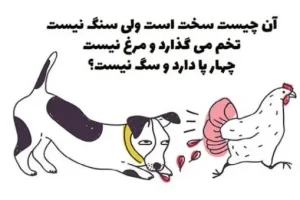 چیستان روز : سفته؛ اما سنگ نیست؛ تخم می‌گذاره اما مرغ نیست و 4 پا دارد اما سگ نیست؟
