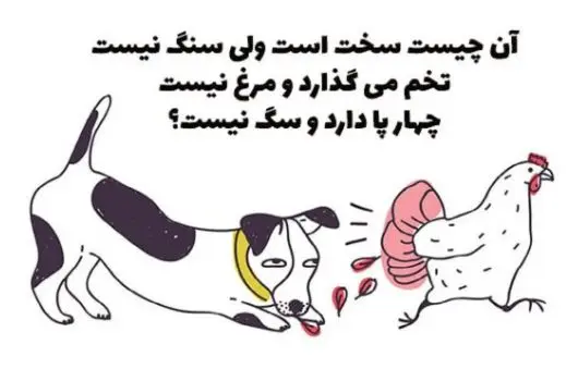 چیستان روز : سفته؛ اما سنگ نیست؛ تخم میگذاره اما مرغ نیست و 4 پا دارد اما سگ نیست؟