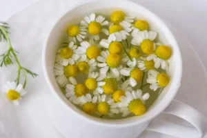 فواید بی نظیر بابونه برای معده و دستگاه گوارش