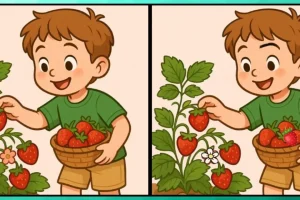 فقط نابغهها میتوانند ۳ تفاوت بین دو کودکی که در حال چیدن توت فرنگی هستند را در ۸ ثانیه پیدا کنند!