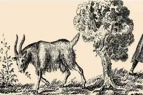 بازی فکری : مغزتو از آلزایمر نجات بده و چهره زن مخفی رو تو 5 ثانیه پیدا کن!