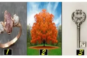 روانشناسی شخصیت : یک تصویر انتخاب کنید و بفهمید روحتان برای شادی به چه چیزی نیاز دارد