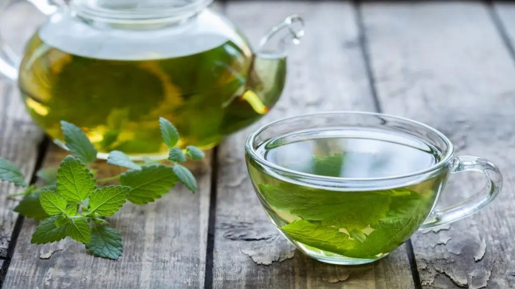 با این دم کرده گیاهی از شر سرماخوردگی پاییزه خلاص شوید!