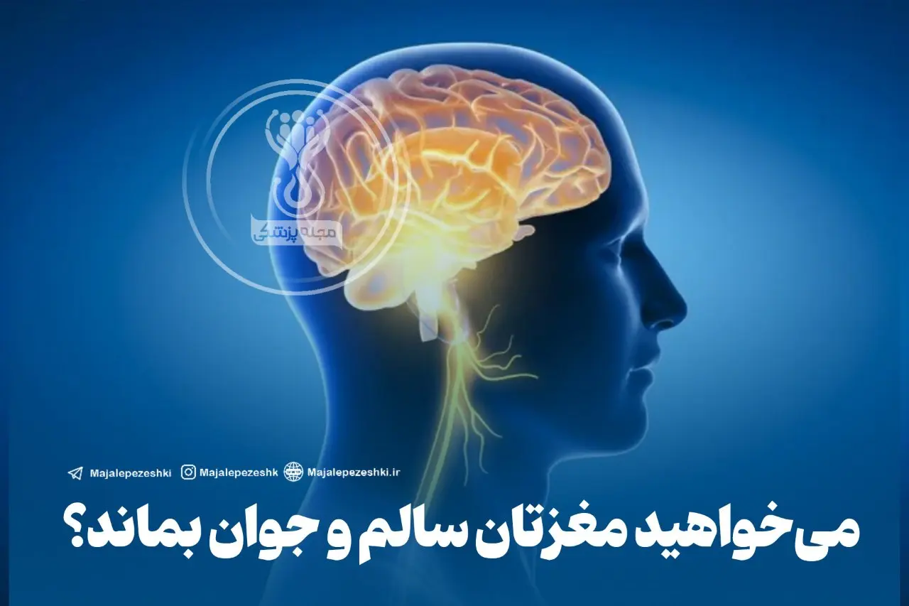 رازهای تقویت مغز با تمرینات روزانه ساده ؛ حقایقی که باید جدی بگیرید