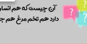 چیستان روز | آن چیست که هم انسان دارد هم تخم مرغ هم جاده؟