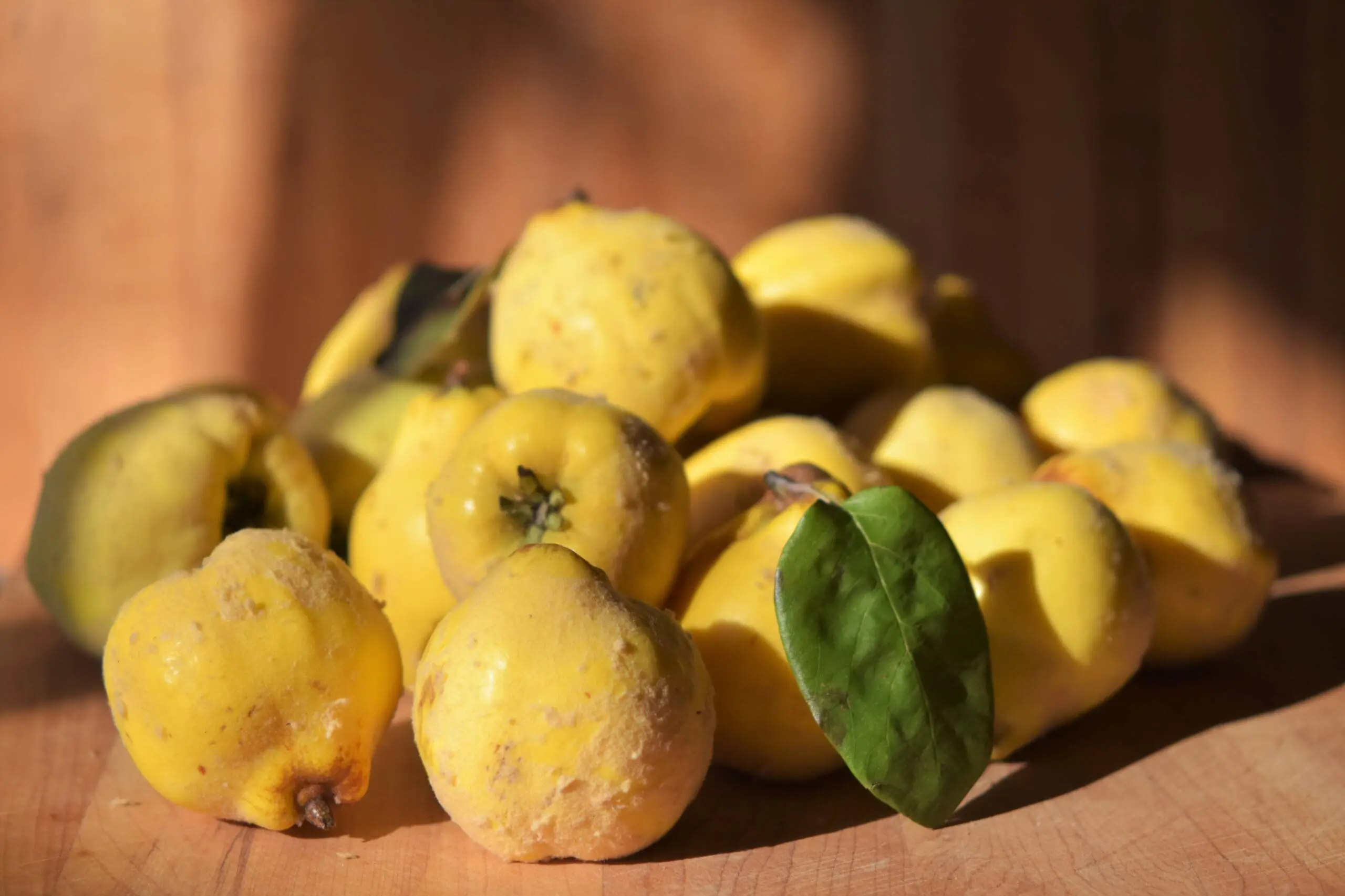 به دانه؛ کاربردی و همه فن حریف