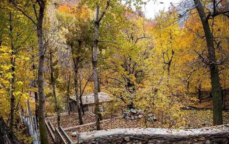سفری لذت بخش به زیباترین روستای نزدیک تهران در پاییز؛ روستای آهار در یک ساعتی تهران