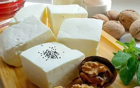 طرز تهیه پنیر در خانه؛ آسان و فوری و ارزان