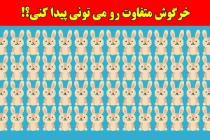 بازی فکری:همه مدعیان بینایی در پیدا کردن خرگوش متفاوت شکست خوردن، تو چطور؟!فقط 4 ثانیه وقت داری!