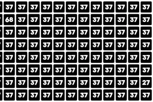 بازی فکری : مدعی های چشم عقابی بیان و تو 5 ثانیه عدد 68 و پیدا کنن!