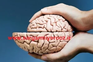 مغزتان را تا ۹۰ سالگی مثل ۴۰ ساله ها نگه دارید