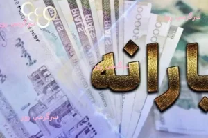 خبر رسمی از واریز یارانه ۱۲ میلیون تومانی دولت به این افراد | ثبت‌نام دریافت یارانه جدید در almp.mcls.gov.ir
