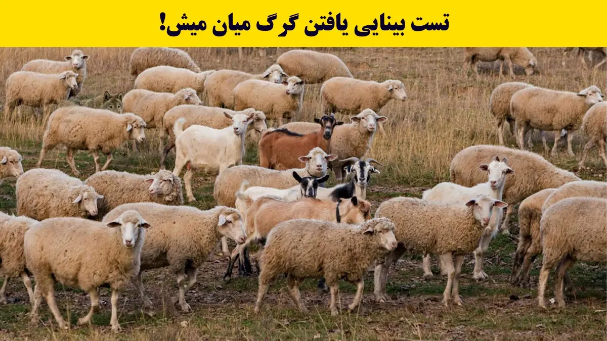 بازی فکری