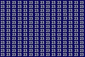 بازی فکری : در 6 ثانیه عددهای وارونه 23 و 32 را میان 23 ها پیدا کنید!