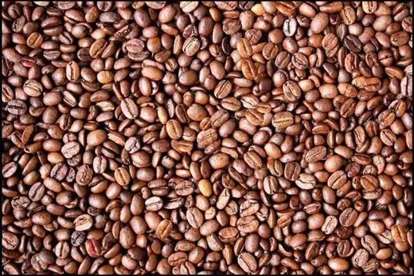 بازی فکری