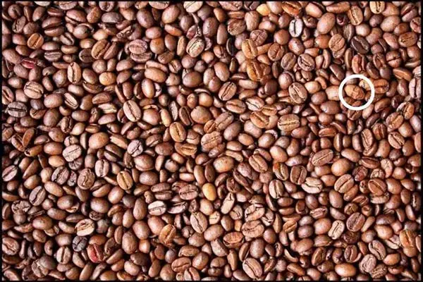 بازی فکری