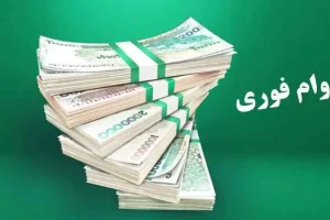 پرداخت وام یارانه ای ۵۰۰ میلیون تومان دولت به ۴ دهک اول؛ وام فوری با بازپرداخت ۲۰ ساله