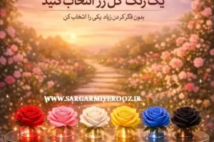 روانشناسی شخصیت : یک رنگ گل رز انتخاب کنید تا بگوییم در دوست داشتن چه شخصیتی دارید!