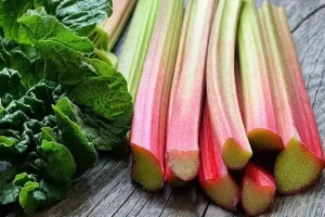 طرز تهیه ریواس تنوری؛ ساده و خوشمزه