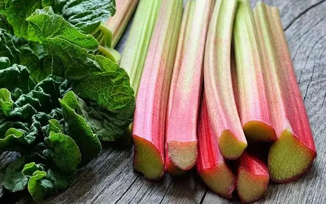 طرز تهیه ریواس تنوری؛ ساده و خوشمزه
