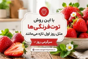 راز تازه ماندن توتفرنگی تا یک هفته؛ ترفندی که خیلیها نمیدانند | با این روش توتفرنگیها مثل روز اول تازه میمانند