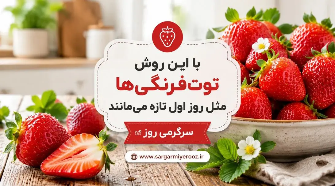 راز تازه ماندن توتفرنگی تا یک هفته؛ ترفندی که خیلیها نمیدانند | با این روش توتفرنگیها مثل روز اول تازه میمانند