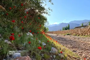 سفر بهاری یکروزه به ماسوله کویر ایران