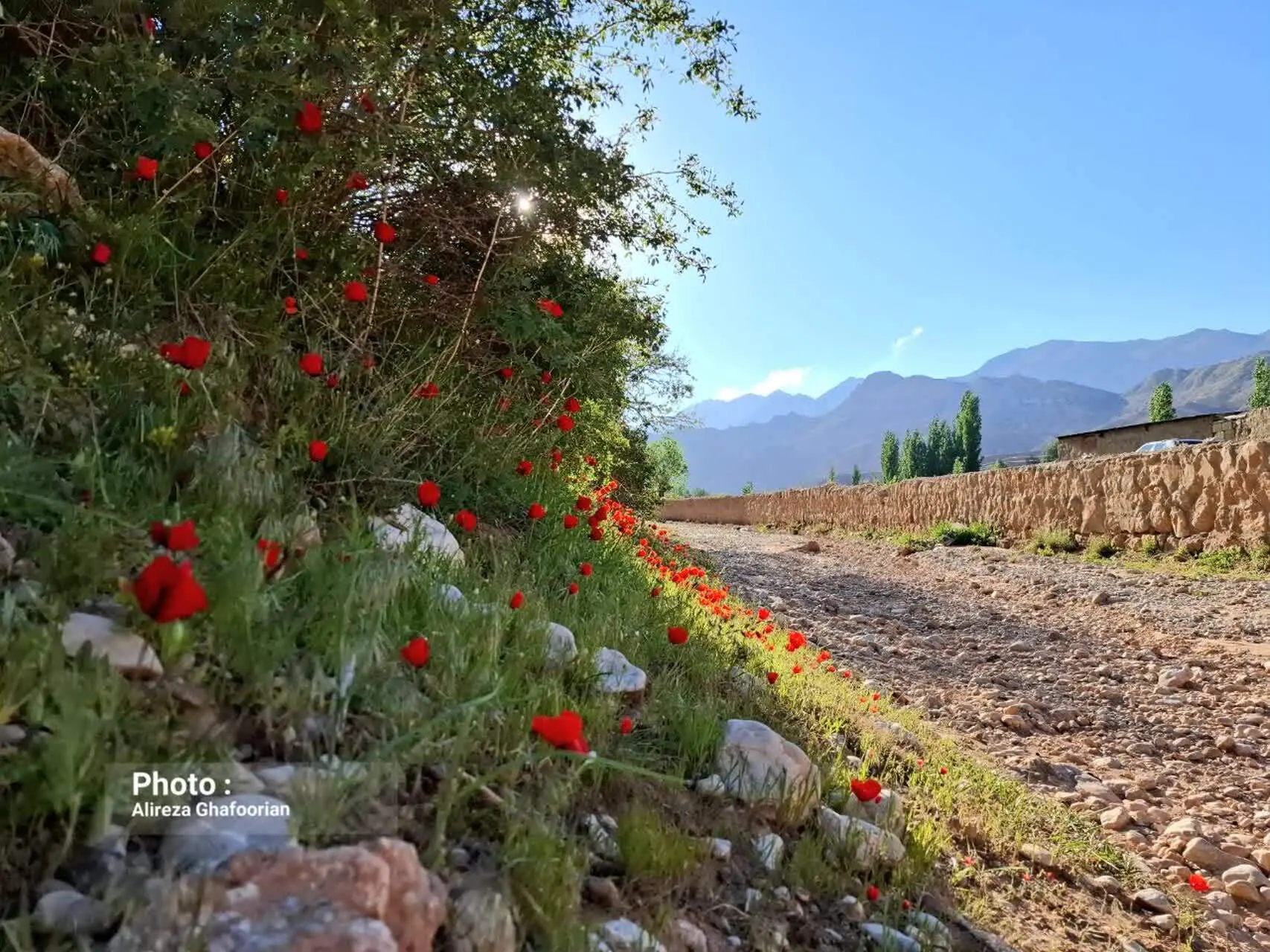 سفر بهاری یکروزه به ماسوله کویر ایران