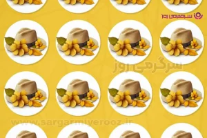 بازی فکری: کلاه عجیب و غریب را در 10 ثانیه پیدا کنید و به همه ثابت کنید چشم هایتان تیزبین است!