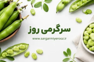 سلامت پروستات با این صیفی نوبرانه | یک خوراکی قدیمی با فایده‌ای مهم برای مردان؛ باقلا و پروستات