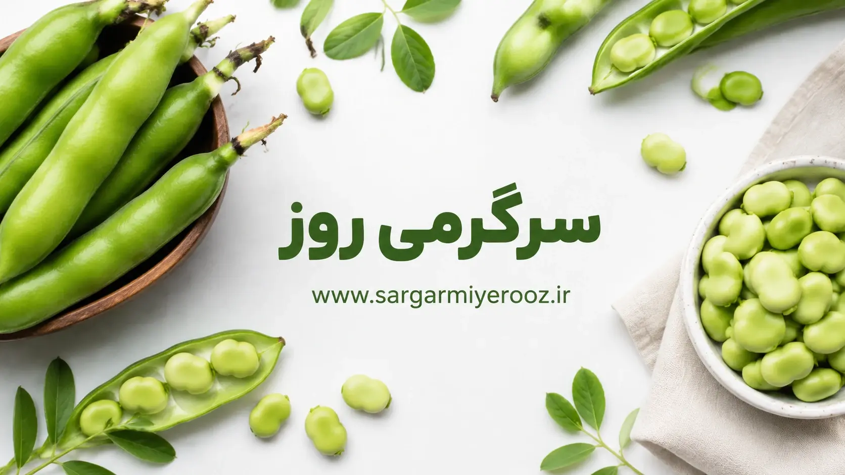 سلامت پروستات با این صیفی نوبرانه | یک خوراکی قدیمی با فایدهای مهم برای مردان؛ باقلا و پروستات