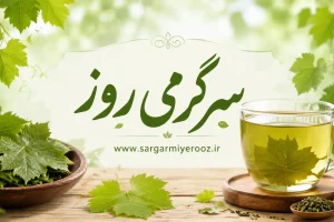 تا فصلش هست امتحان کن | دمنوش برگ مو؛ نوشیدنی گیاهی متفاوت با خواص آرامبخش