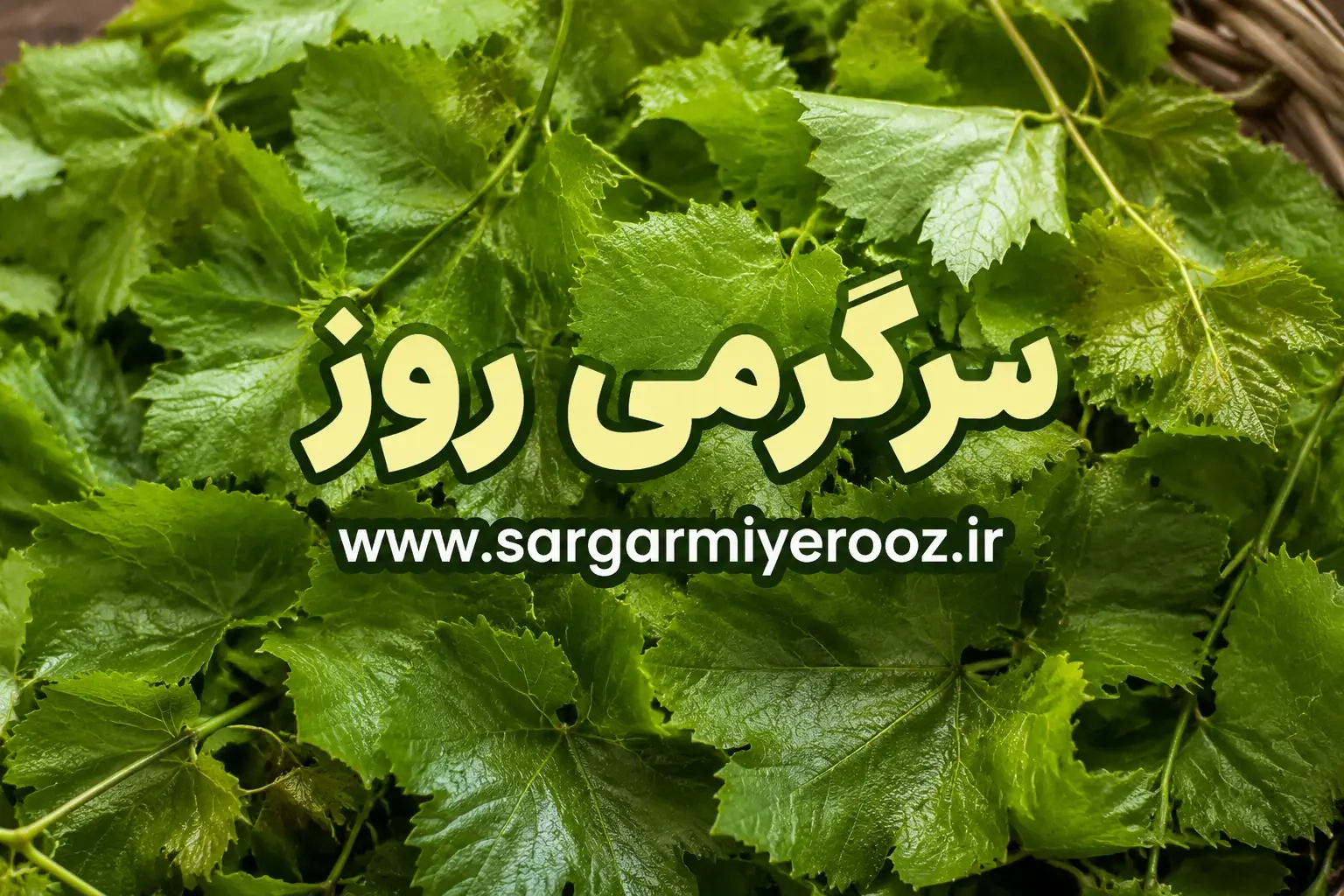 راز ماندگاری یکساله برگ مو بالاخره فاش شد | ترفند خانگی که برگ مو را مثل روز اول تازه نگه میدارد