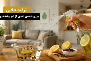 این محلول خانگی پشه‌های ریز را قتل‌عام می‌کند | راز خلاص شدن فوری از پشه‌های ریز که کمتر کسی می‌داند