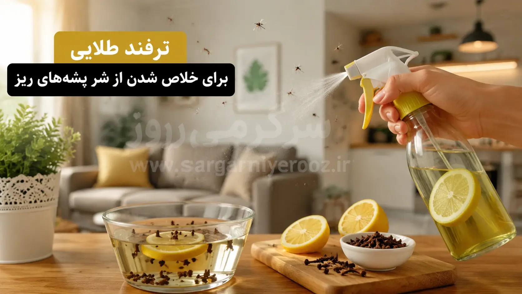 این محلول خانگی پشههای ریز را قتلعام میکند | راز خلاص شدن فوری از پشههای ریز که کمتر کسی میداند