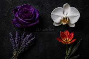 باغچه درونی شما چه رنگی است؟ | با انتخاب یک گل لایه های عمیق خودتان را کشف کنید!