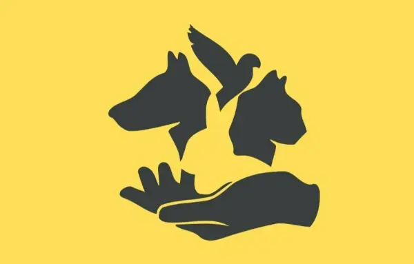 تست شخصیت : میخوای بدونی بزرگترین ترس زندگیت چیه؟ اولین چیزی که دیدی رو بگو!