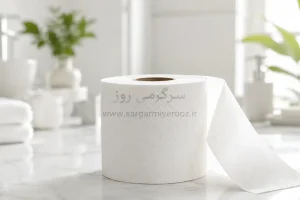 ادعای جنجالی درباره دستمال توالت و کیست تخمدان؛ آیا دستمال توالت می‌تواند باعث ناباروری شود؟