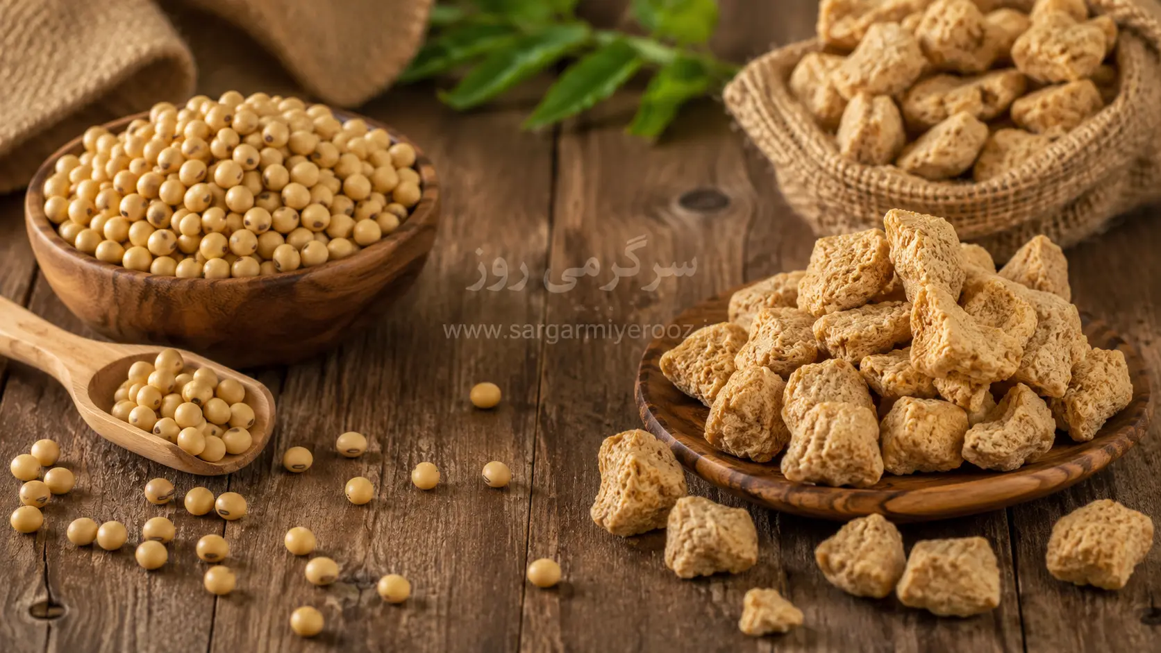 سویا بخوریم یا نه؟ خطر پنهانِ جایگزینِ ارزانِ گوشت که کسی به شما نمیگوید!
