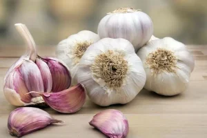 سیر واقعاً پشه‌ها را فراری می‌دهد؟