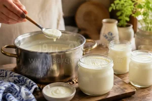 طرز تهیه ماست فوری در حدود ۳۰ دقیقه