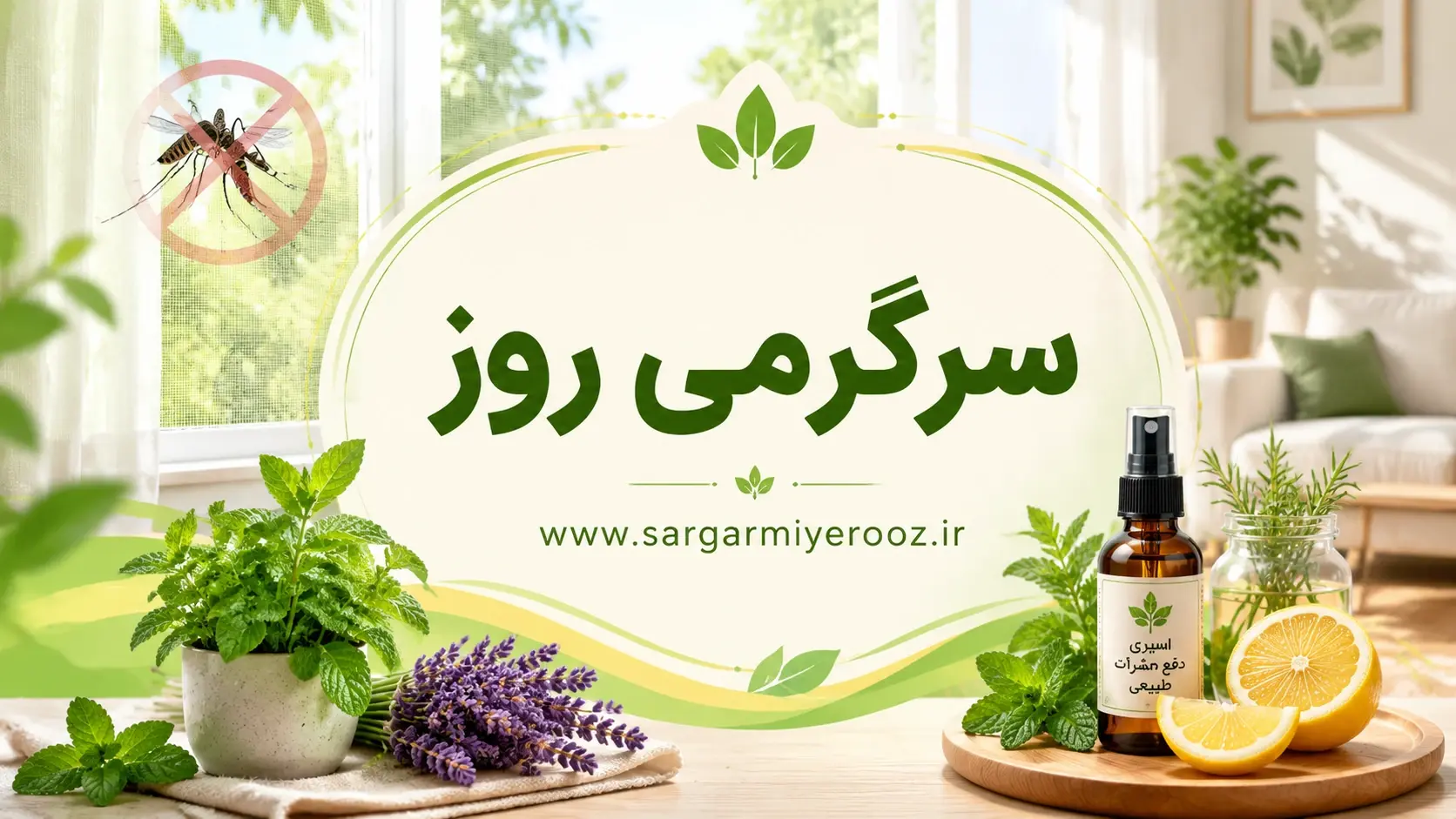 با این روش خانگی پشه هارو تارومار کنید | از شر پشهها با این ترفند خانگی خلاص شوید