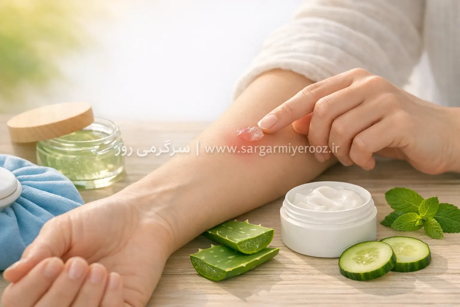بهترین درمان خانگی پشهگزیدگی؛ این روشهای خانگی خارش و قرمزی را سریع از بین میبرند