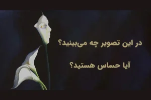 تست شخصیت شناسی | اولین چیزی که میبینید میگوید شما قلب حساسی دارید یا نه!