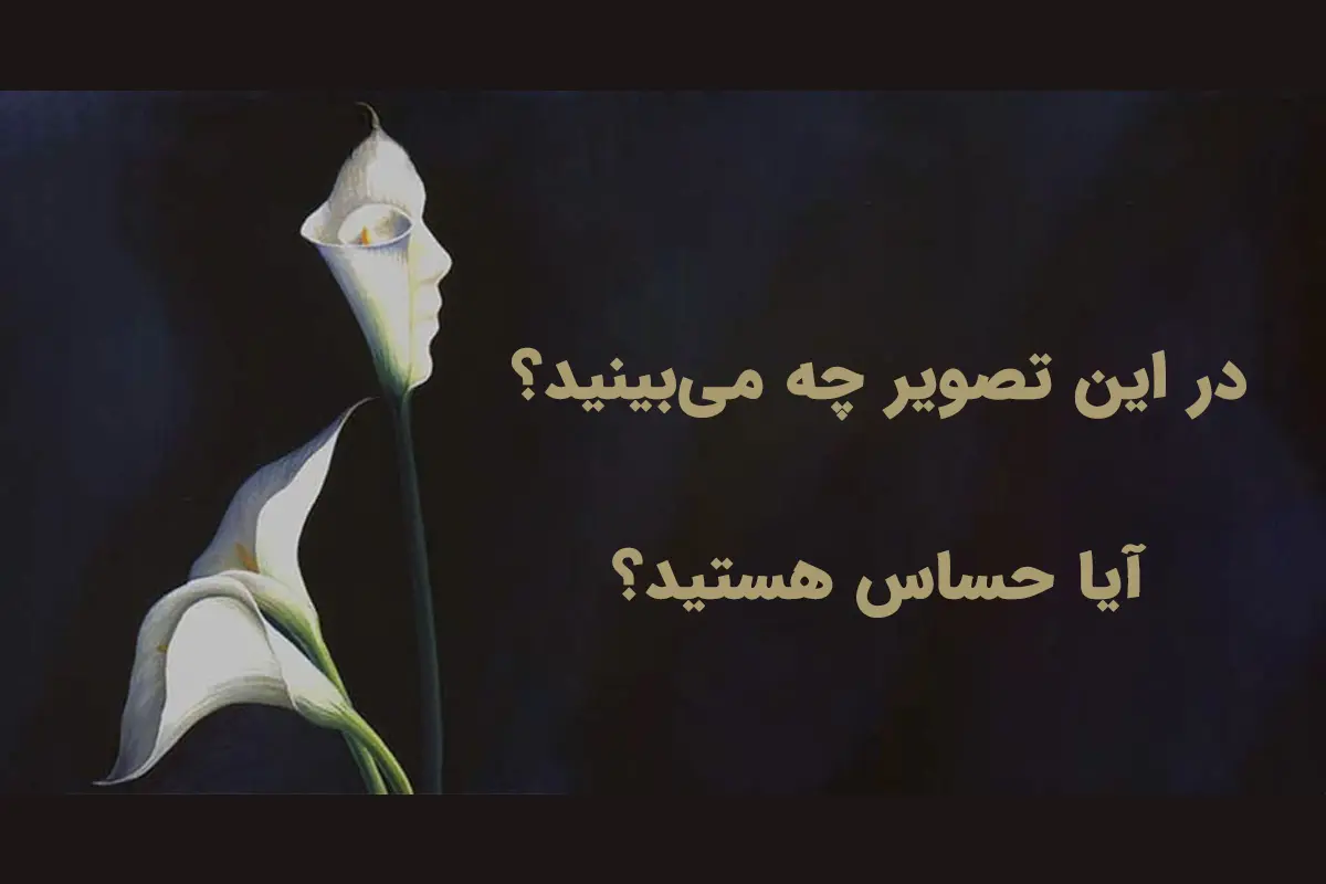 تست شخصیت شناسی | اولین چیزی که میبینید میگوید شما قلب حساسی دارید یا نه!