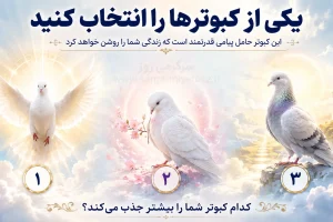 با انتخاب یک کبوتر بفهمید چه چیزهایی سکوت شمارو می شکند!