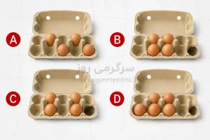 تست شخصیت شناسی | خممرغها را مرتب میچینی یا متفاوت؟ | نتیجهاش عجیبتر از چیزی است که فکر میکنی