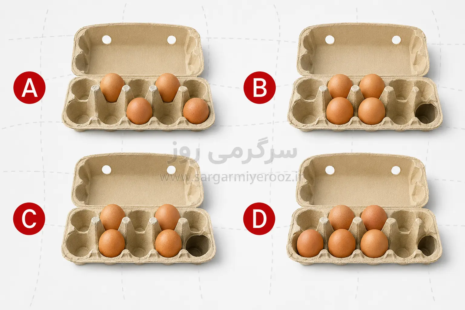 تست شخصیت شناسی | خممرغها را مرتب میچینی یا متفاوت؟ | نتیجهاش عجیبتر از چیزی است که فکر میکنی