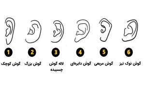 تست شخصیتشناسی | فرم گوش شما، نیمه پنهانتان را لو میدهد!